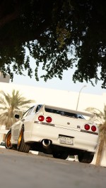 1998 Nissan Skyline GT-R - 88k km