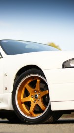 1998 Nissan Skyline GT-R - 88k km