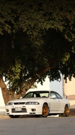 1998 Nissan Skyline GT-R - 88k km