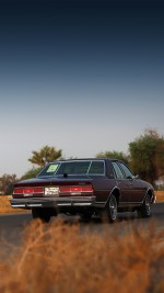 1979 Chevrolet Caprice Classic - 59k mile