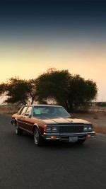 1979 Chevrolet Caprice Classic - 59k mile