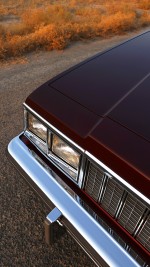 1979 Chevrolet Caprice Classic - 59k mile