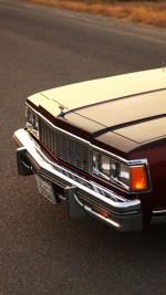 1979 Chevrolet Caprice Classic - 59k mile