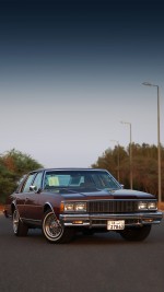 1979 Chevrolet Caprice Classic - 59k mile