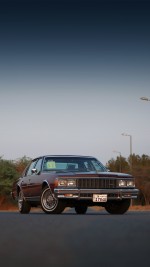 1979 Chevrolet Caprice Classic - 59k mile