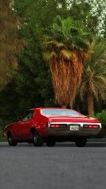 1972 Buick Skylark Custom - 63k mile