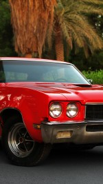 1972 Buick Skylark Custom - 63k mile