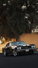 1970 Chevrolet Chevelle SS Coupe - 110k mile