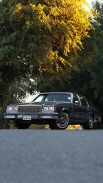 1985 Buick LeSabre Collector’s Edition - 20k mile