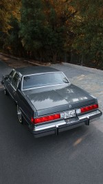 1985 Buick LeSabre Collector’s Edition - 20k mile