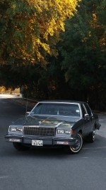 1985 Buick LeSabre Collector’s Edition - 20k mile