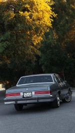 1985 Buick LeSabre Collector’s Edition - 20k mile