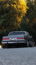 1985 Buick LeSabre Collector’s Edition - 20k mile