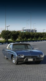 1963 Ford Thunderbird 302