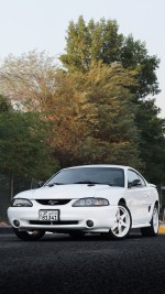 1997 Ford Mustang Cobra SVT - 92k km