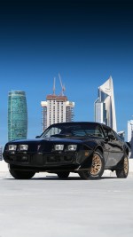 1979 Pontiac Firebird Trans Am T-Top