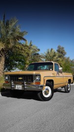 1973 Chevrolet Cheyenne Super 20 - 97k mile