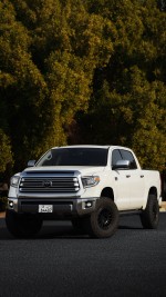 2019 Toyota Tundra 1794 Edition - 74k km