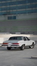 1982 Buick Electra Park Avenue - 36k km