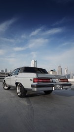 1982 Buick Electra Park Avenue - 36k km