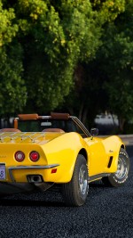 1973 Chevrolet Corvette Stingray Convertible - 35k mile