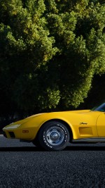 1973 Chevrolet Corvette Stingray Convertible - 35k mile