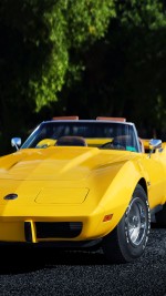 1973 Chevrolet Corvette Stingray Convertible - 35k mile