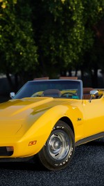 1973 Chevrolet Corvette Stingray Convertible - 35k mile