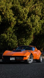 1972 Chevrolet Corvette Stingray T-Top - 28k mile