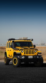 2019 Jeep Wrangler Sahara Unlimited - 25k km