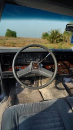 1990 Chevrolet Caprice Classic LS Brougham - 289k km