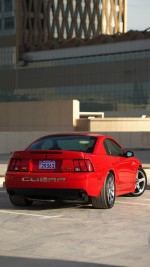 2004 Ford Mustang Cobra SVT - 16k mile