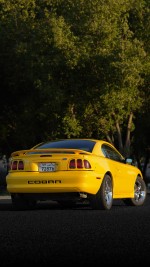 1998 Ford Mustang Cobra SVT - 109k mile