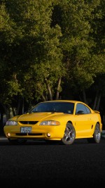 1998 Ford Mustang Cobra SVT - 109k mile