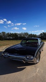 1962 Ford Thunderbird Coupe 390