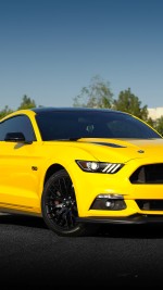 2015 Ford Mustang Performance Package 2 - 83k km