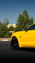 2015 Ford Mustang Performance Package 2 - 83k km