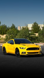 2015 Ford Mustang Performance Package 2 - 83k km