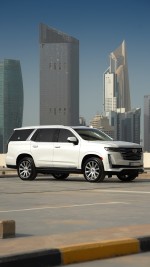 2022 Cadillac Escalade Platinum - 30k km