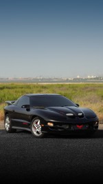 2002 Pontiac Firebird Trans Am WS6 T-Top 6-Speed - 116k mile