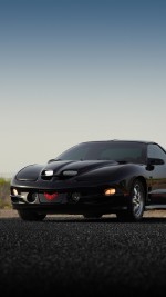 2002 Pontiac Firebird Trans Am WS6 T-Top 6-Speed - 116k mile