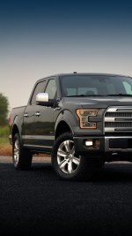 2018 Ford F-150 Platinum 4x4 - 36k km