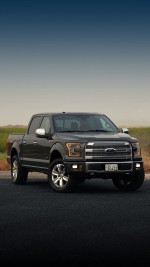 2018 Ford F-150 Platinum 4x4 - 36k km