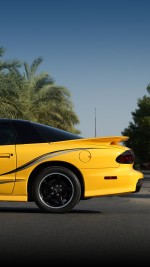 2002 Pontiac Firebird Trans Am WS6 Collector Edition Coupe - 68k mile