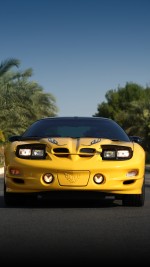 2002 Pontiac Firebird Trans Am WS6 Collector Edition Coupe - 68k mile