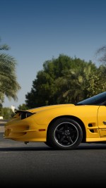 2002 Pontiac Firebird Trans Am WS6 Collector Edition Coupe - 68k mile