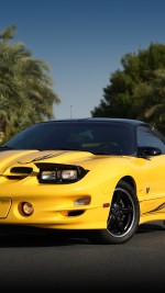 2002 Pontiac Firebird Trans Am WS6 Collector Edition Coupe - 68k mile