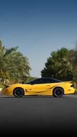 2002 Pontiac Firebird Trans Am WS6 Collector Edition Coupe - 68k mile