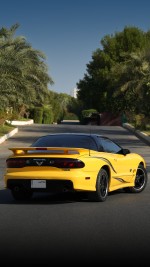 2002 Pontiac Firebird Trans Am WS6 Collector Edition Coupe - 68k mile