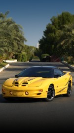 2002 Pontiac Firebird Trans Am WS6 Collector Edition Coupe - 68k mile